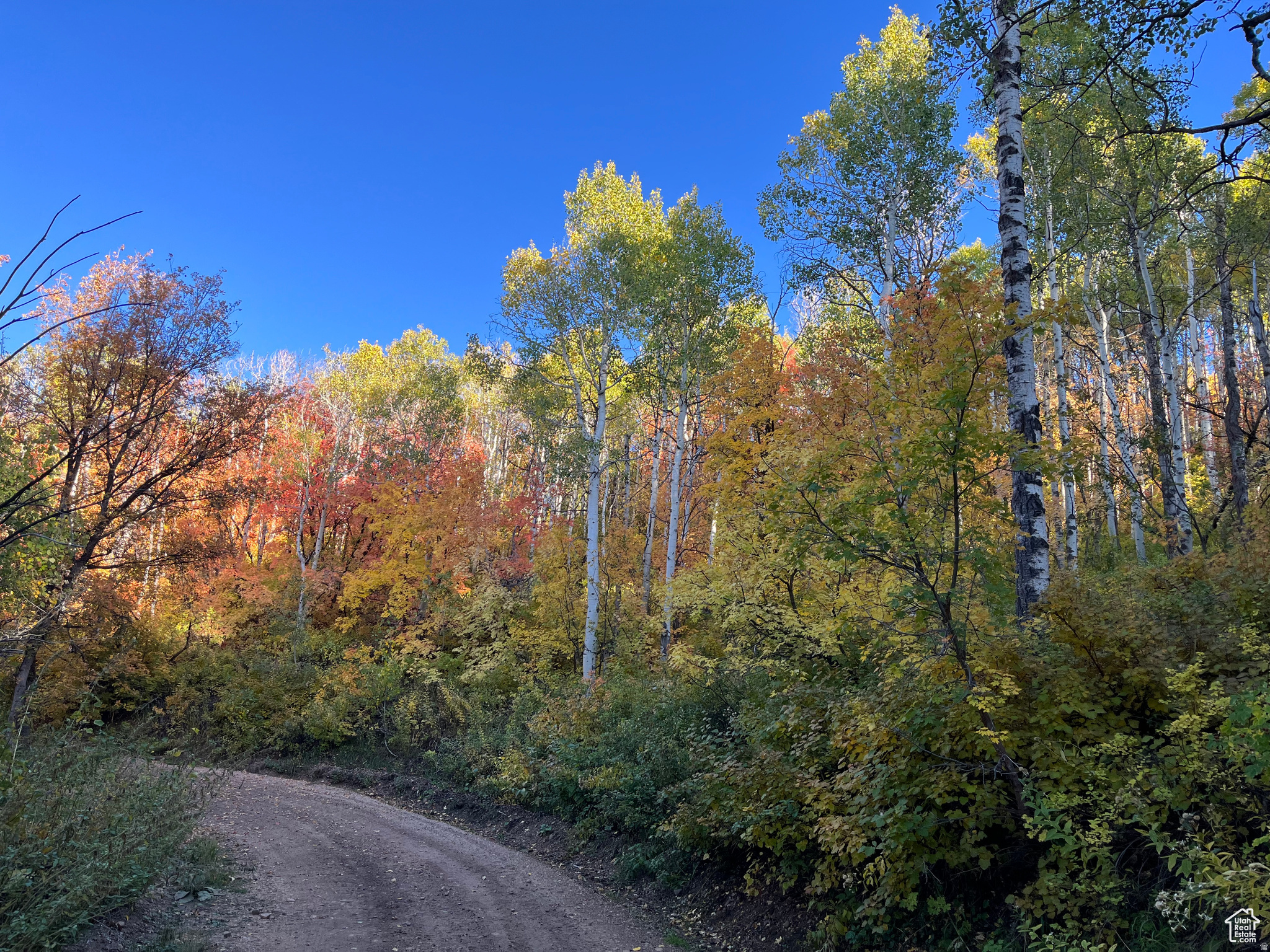 ECHO CREEK RANCHES - Land