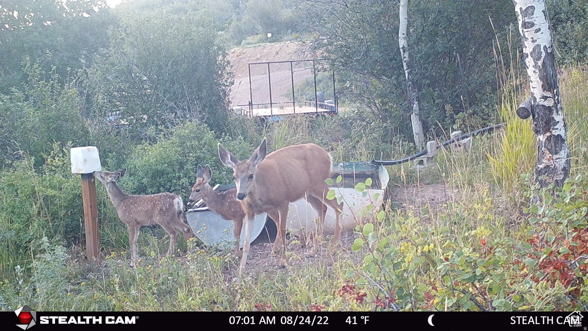 ECHO CREEK RANCHES - Land
