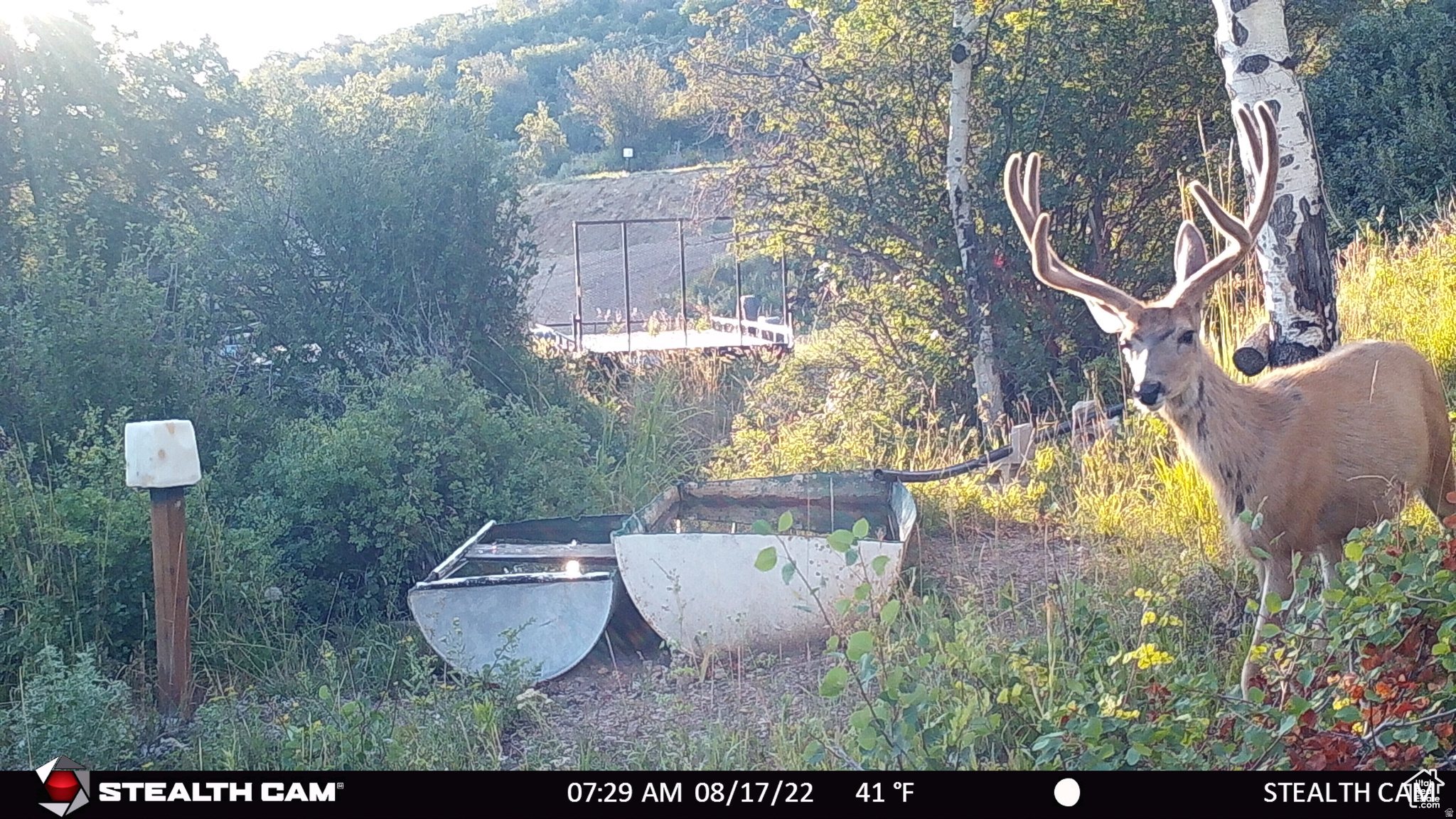 ECHO CREEK RANCHES - Land