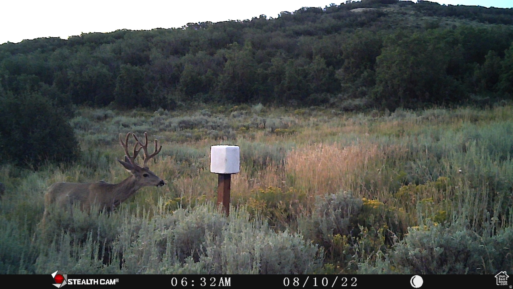 ECHO CREEK RANCHES - Land