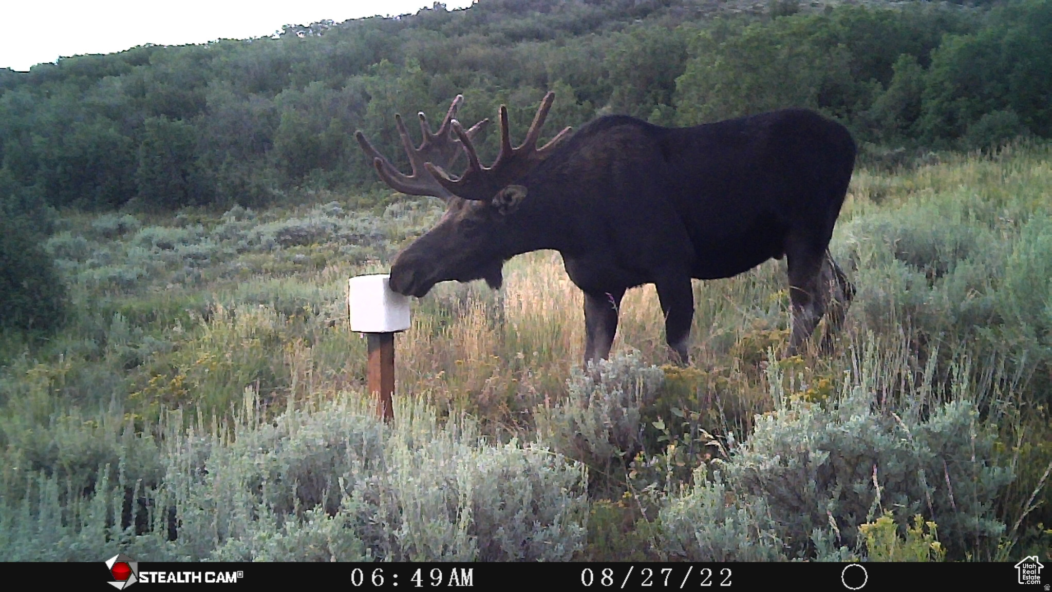 ECHO CREEK RANCHES - Land