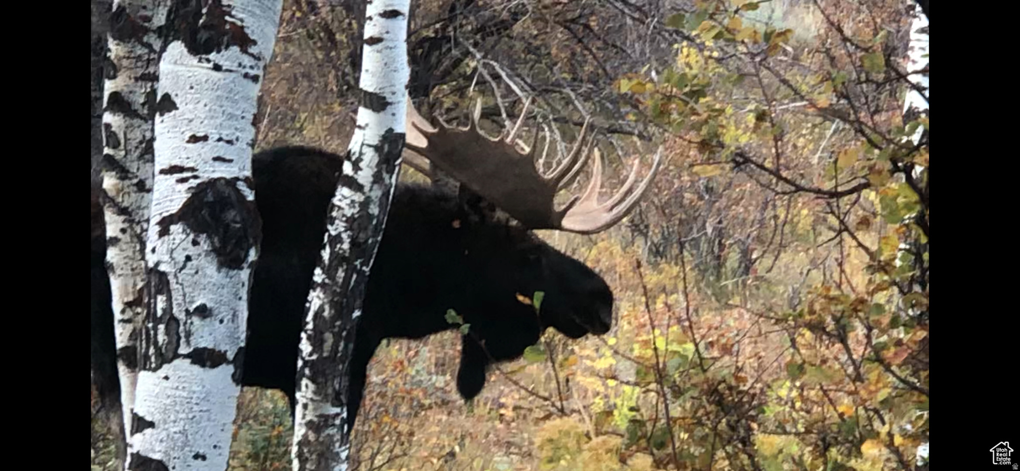 ECHO CREEK RANCHES - Land