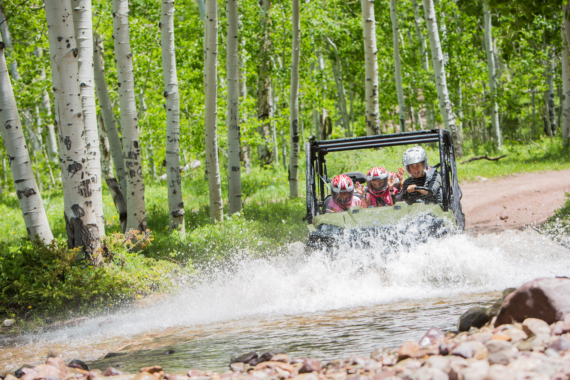 THE CABINS AT BEAR RIVER LODGE - Commercial Sale