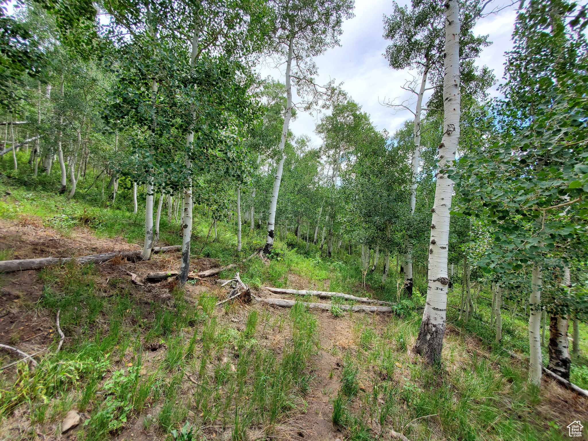102 Brooks Canyon Rd #GB 102, Fairview, Utah image 3