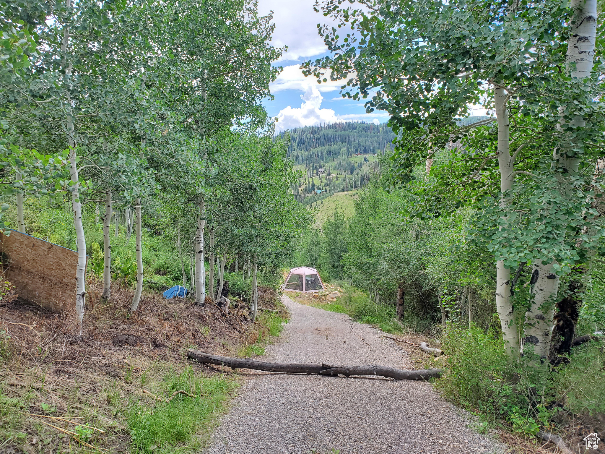 102 Brooks Canyon Rd #GB 102, Fairview, Utah image 1