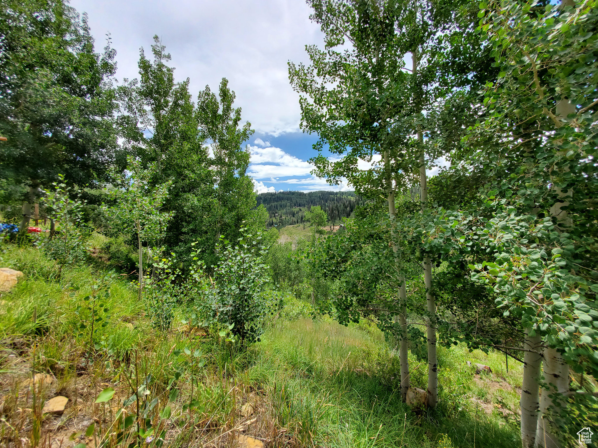 102 Brooks Canyon Rd #GB 102, Fairview, Utah image 9
