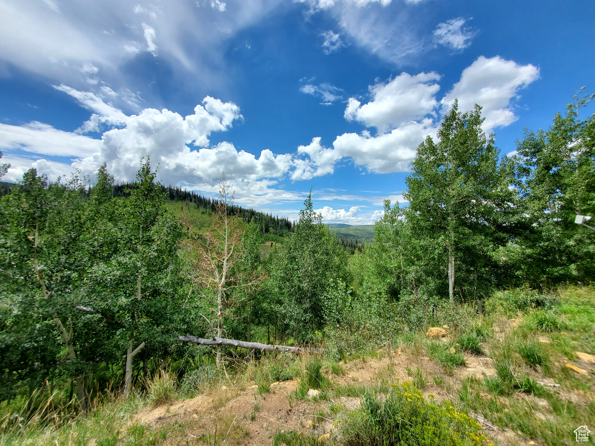 102 Brooks Canyon Rd #GB 102, Fairview, Utah image 8