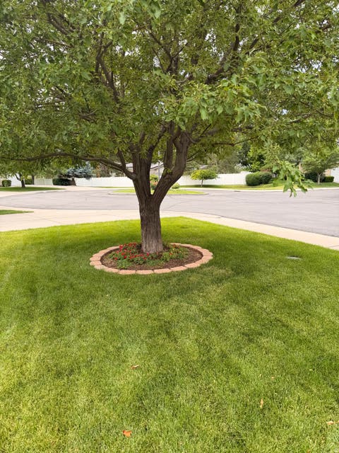Tiny photo for 153 W HIDDEN HOLLOW CIR, Orem, UT 84058 (MLS # 2167959)
