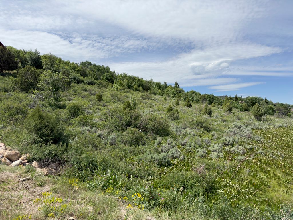 Photo of 1158 S SUNRISE CIR #A17, Garden City, UT 84028 (MLS # 2149970)