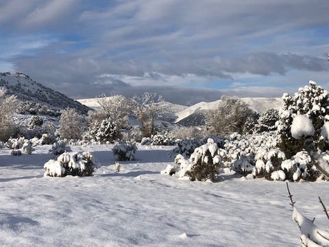 Tiny photo for 8398 N HIGHWAY 302, Peoa, UT 84061 (MLS # 2167503)