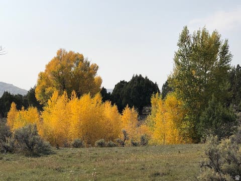 Tiny photo for 8398 N HIGHWAY 302, Peoa, UT 84061 (MLS # 2167503)