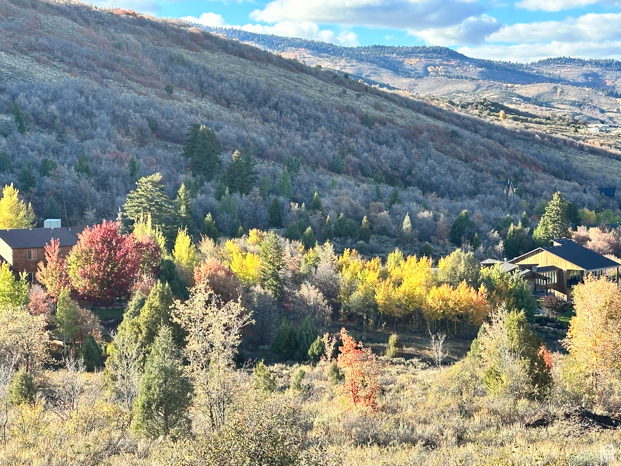 SWAN CREEK - Land