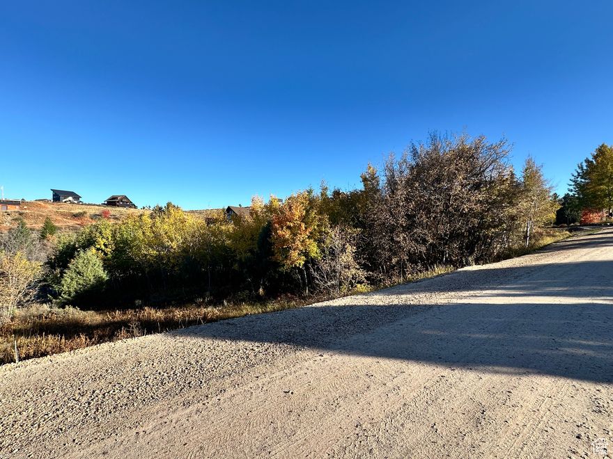 Gorgeous lot in the Gated Swan Creek Village. Nestled in the trees, but still has a great view of Bear Lake. Don't miss out on this prime land. Adjoining lot available also. Buy both and build your dream cabin in Bear Lake. Short drive to the Garden City Marina, shops, grocery, and famous Raspberry shakes!  Put in your offer today!