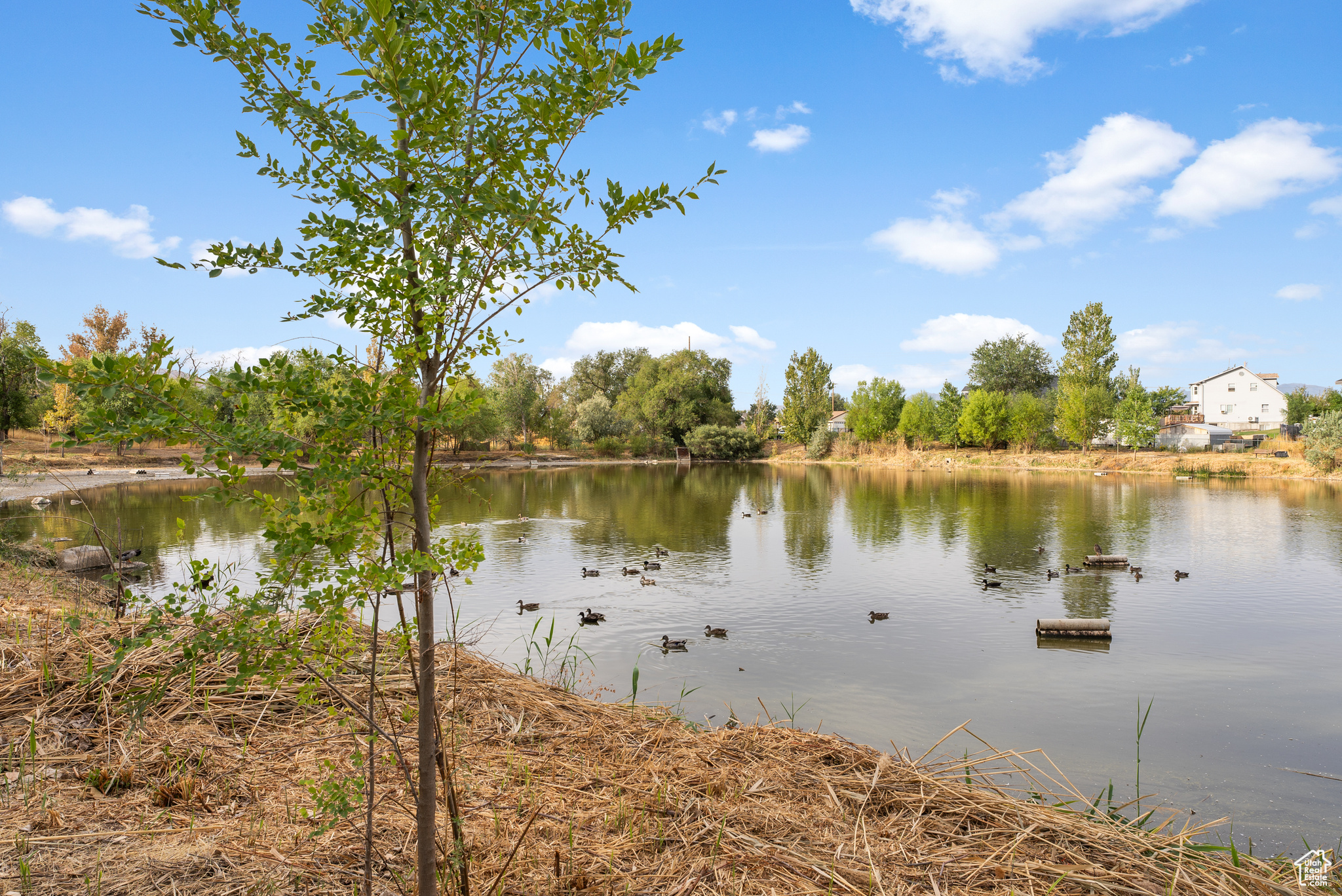 SUNSET PONDS PUD - Residential