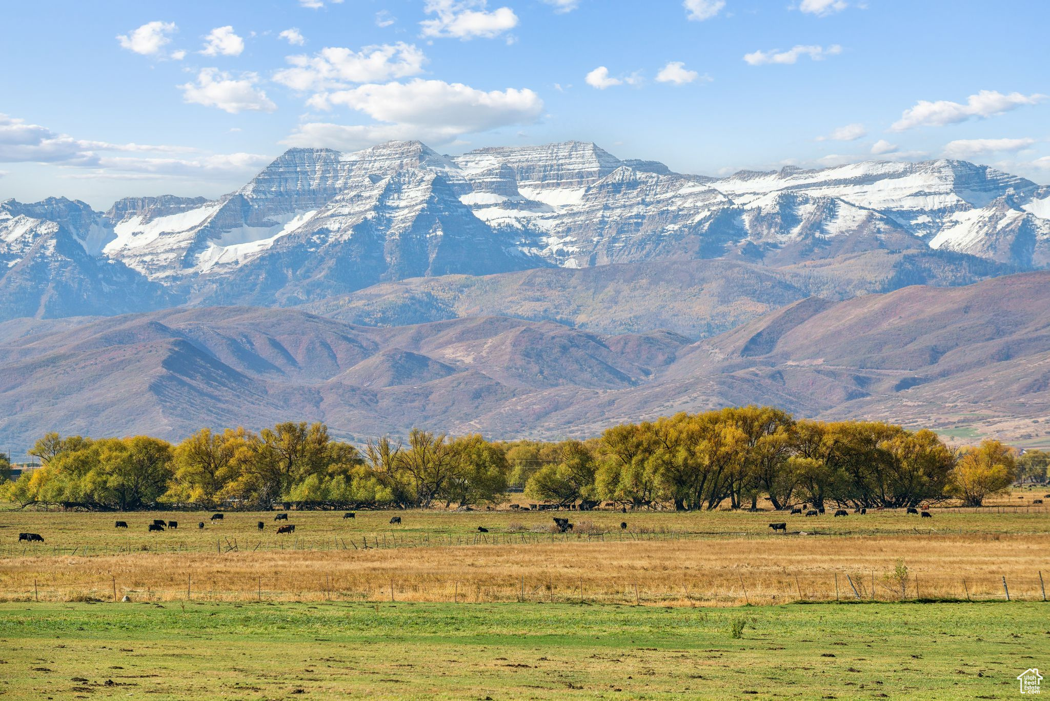 Land, Heber City, Utah image 2