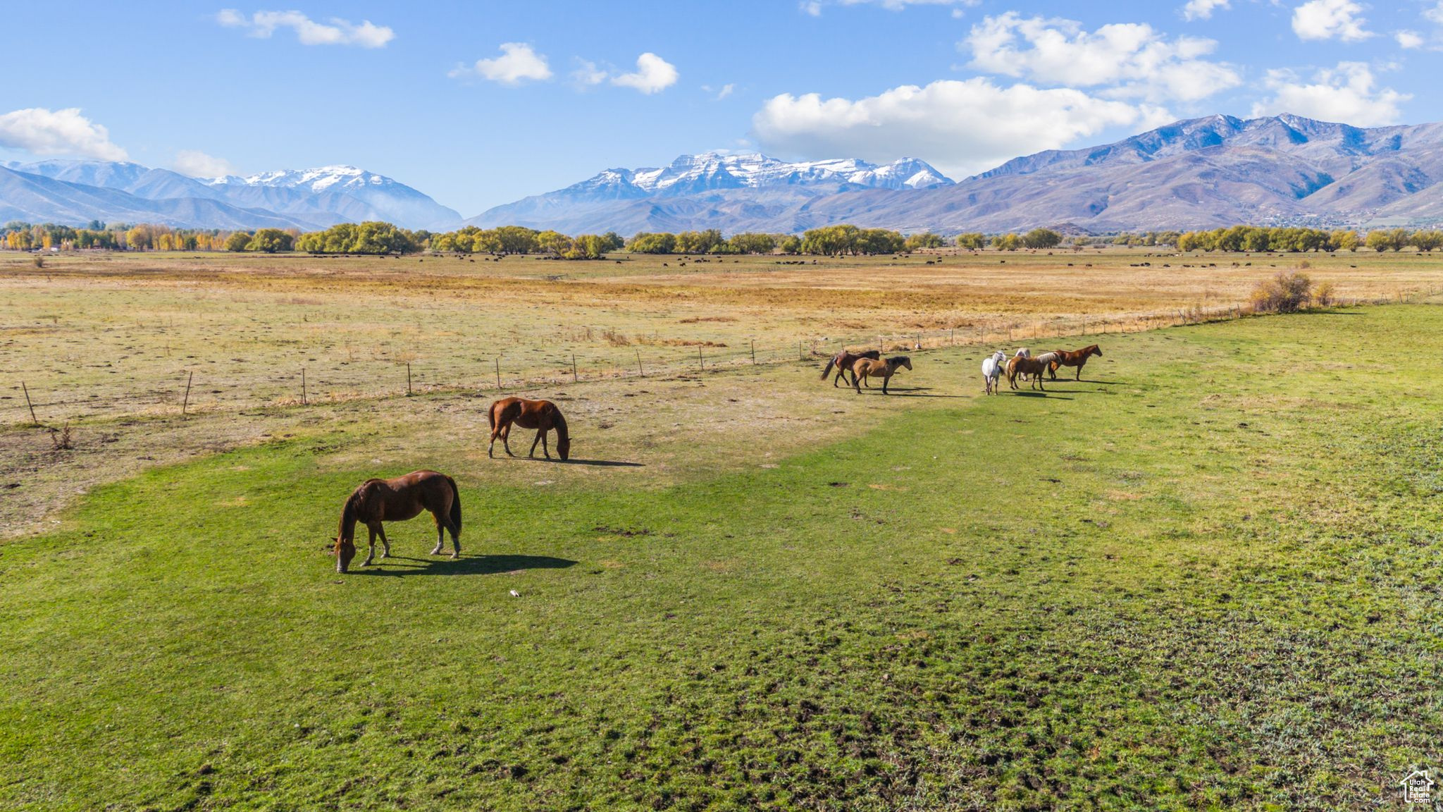 Land, Heber City, Utah image 3