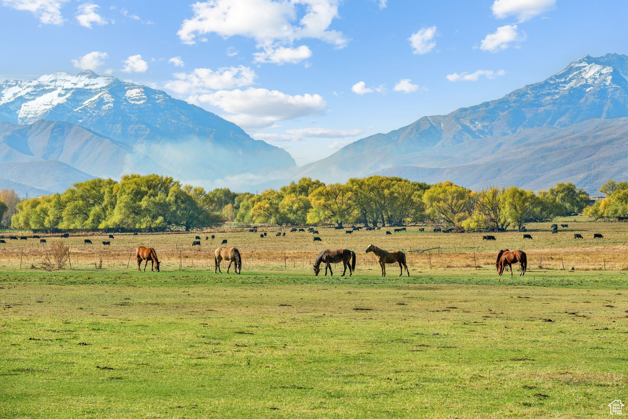 Land, Heber City, Utah image 1