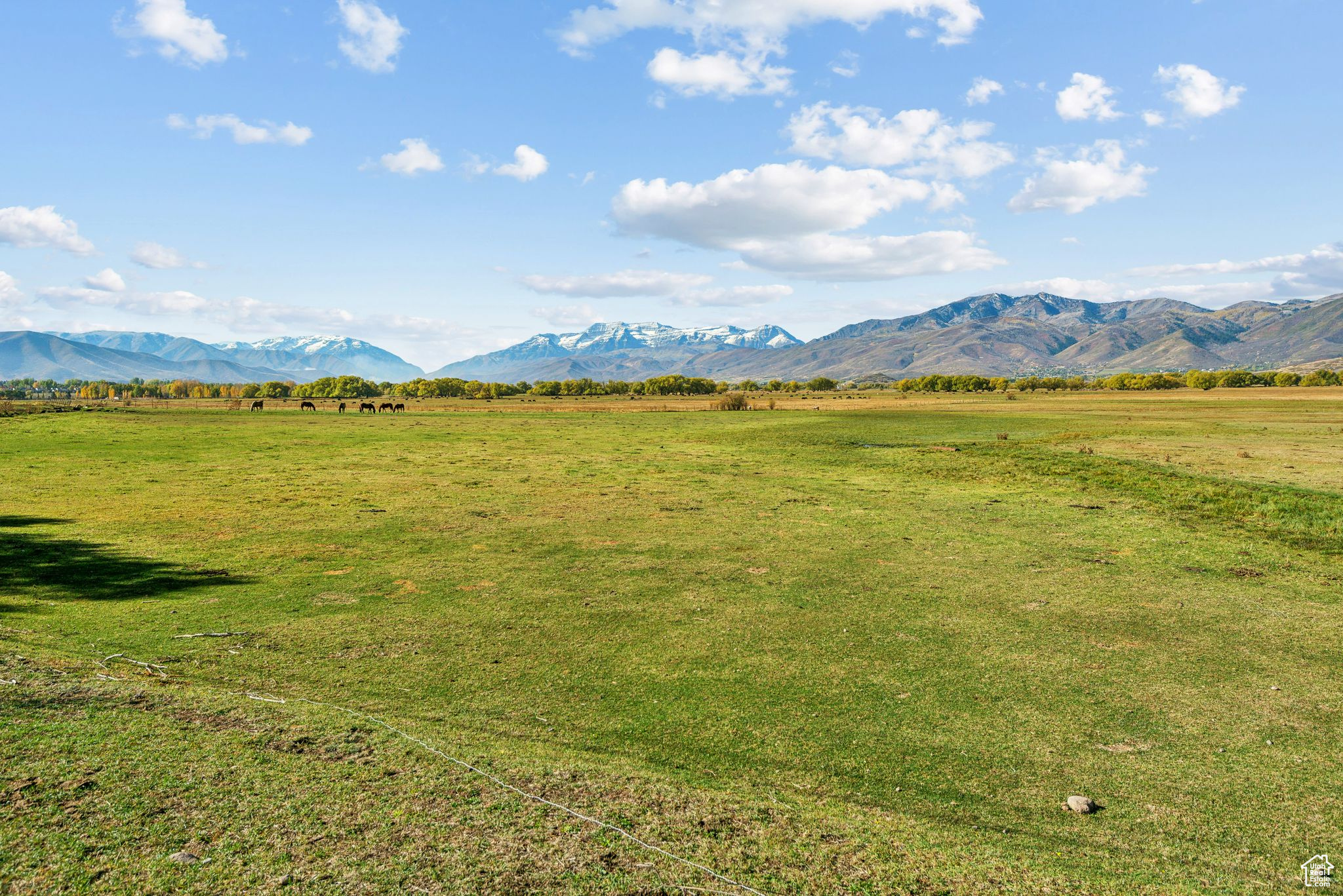 Land, Heber City, Utah image 8