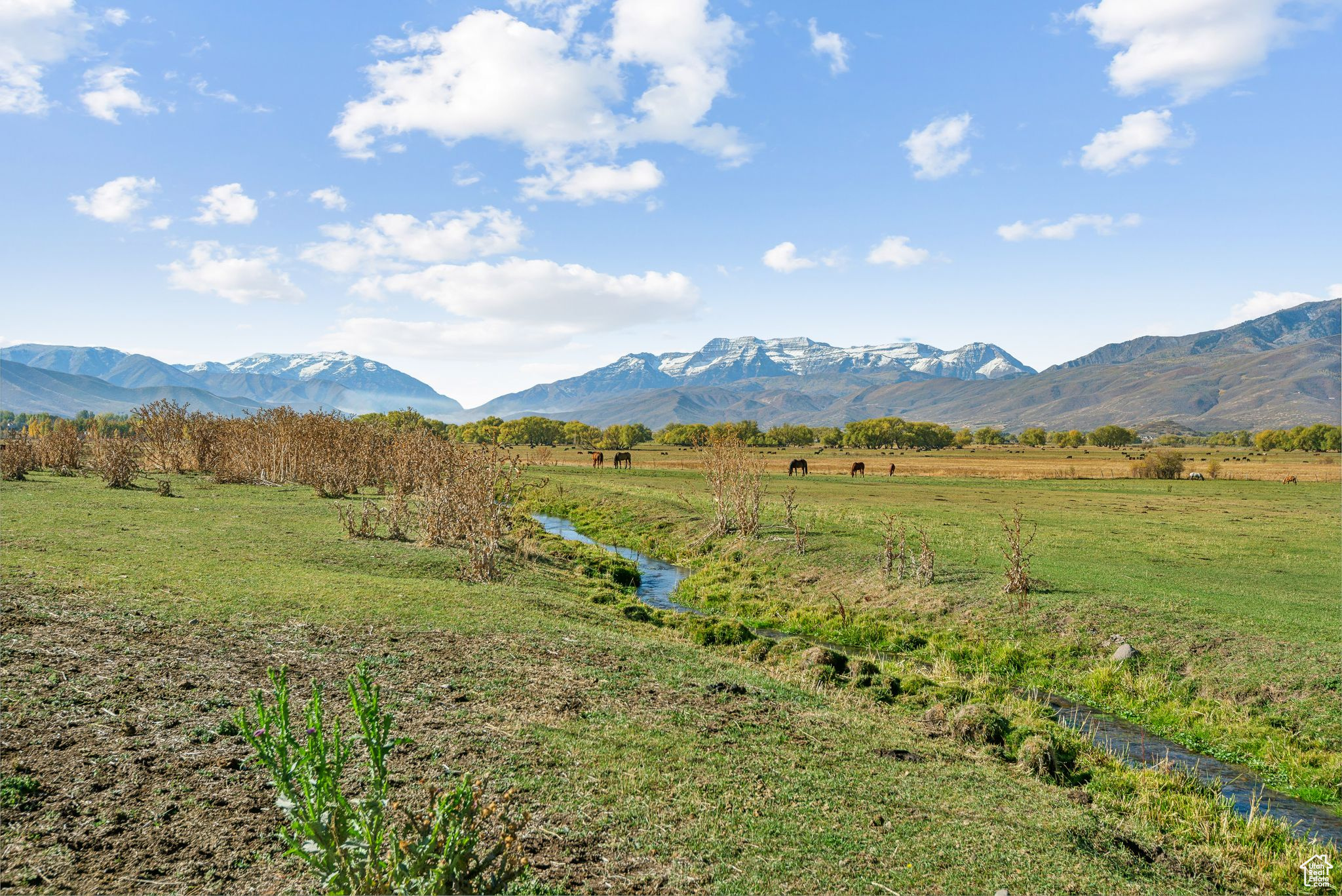 Land, Heber City, Utah image 5