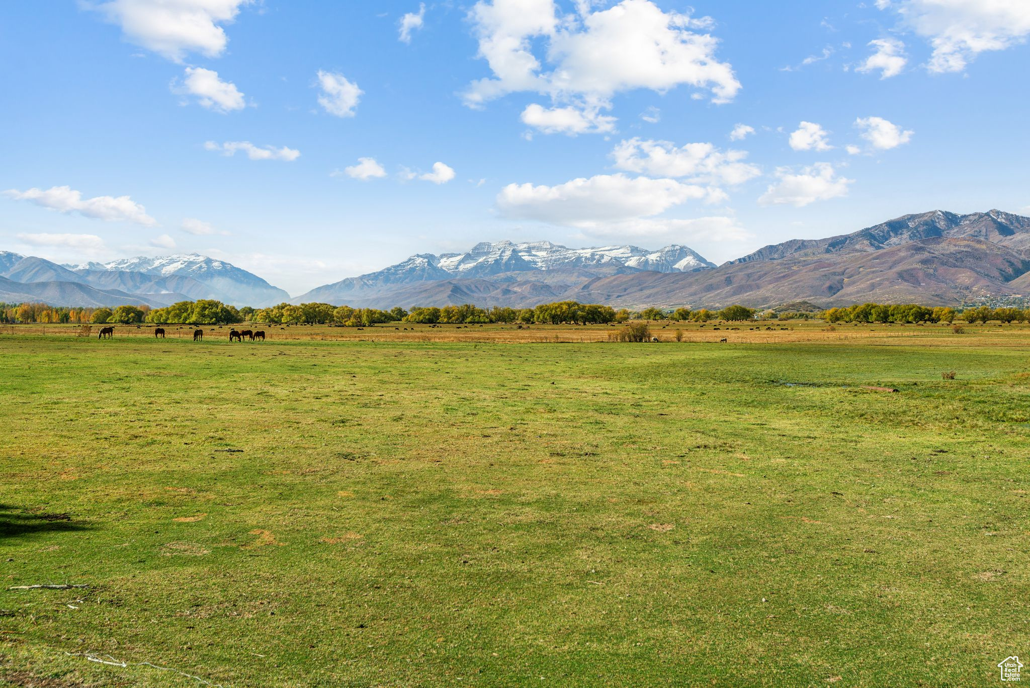 Land, Heber City, Utah image 4