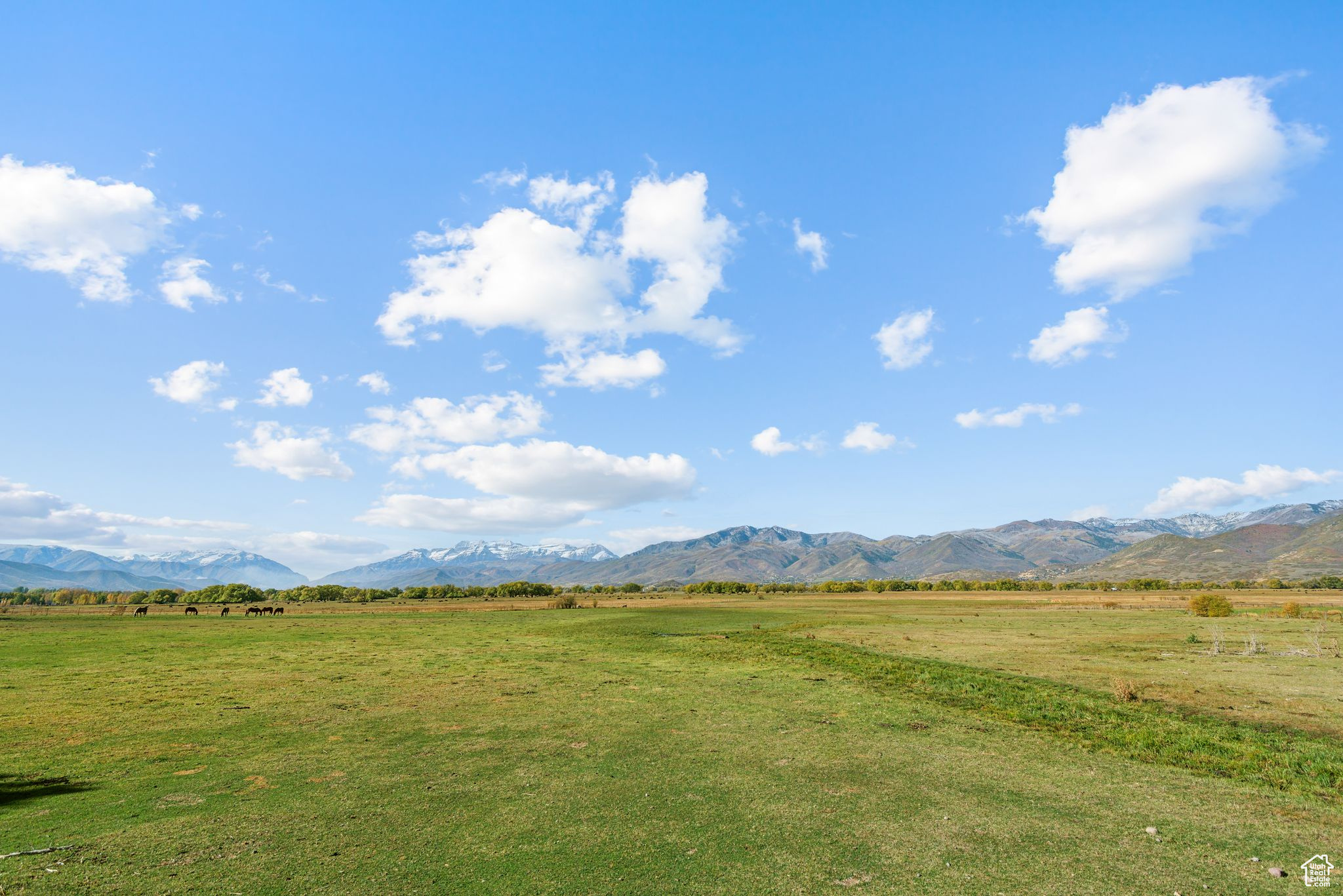 Land, Heber City, Utah image 7