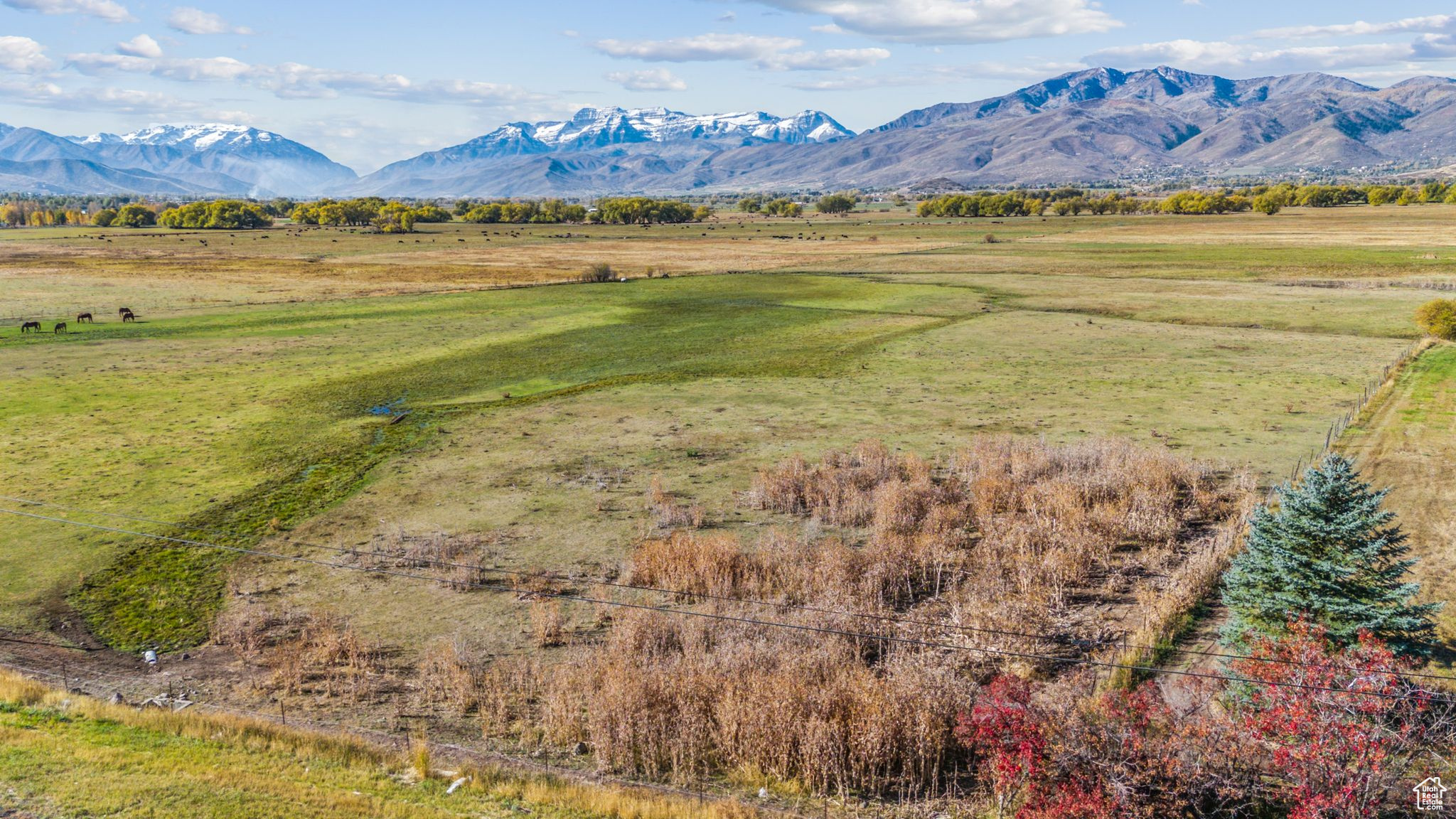 Land, Heber City, Utah image 17