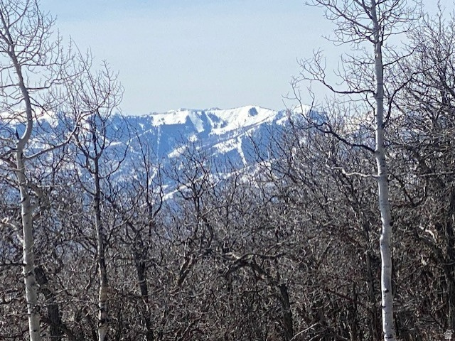 FOREST MEADOW SUBDIVISION - Land