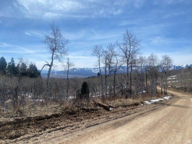 FOREST MEADOW SUBDIVISION - Land