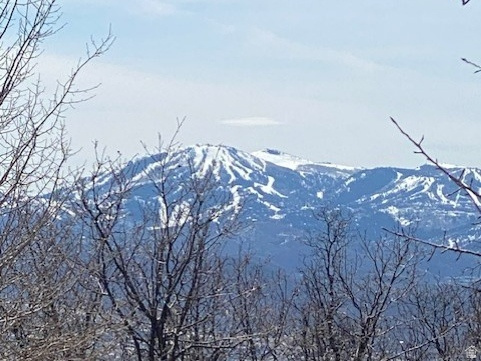 FOREST MEADOW SUBDIVISION - Land