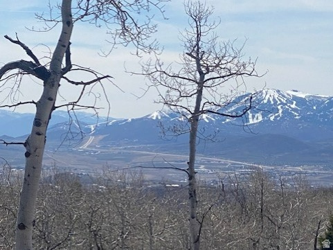 FOREST MEADOW SUBDIVISION - Land
