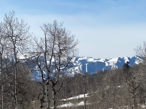 FOREST MEADOW SUBDIVISION - Land