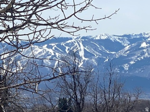 FOREST MEADOW SUBDIVISION - Land