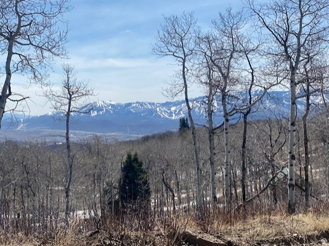 FOREST MEADOW SUBDIVISION - Land