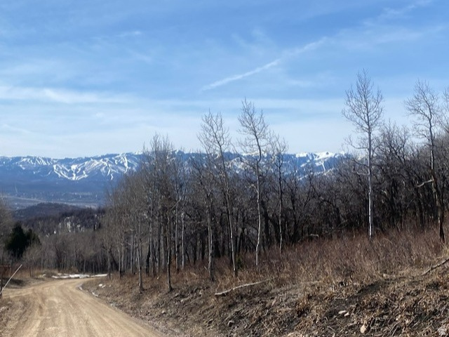 FOREST MEADOW SUBDIVISION - Land