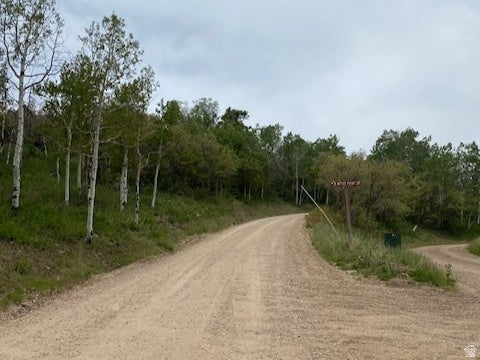 Vacant Land For Sale - 2604 S Forest Meadow Rd #C-82<br/> Coalville, UT 84017