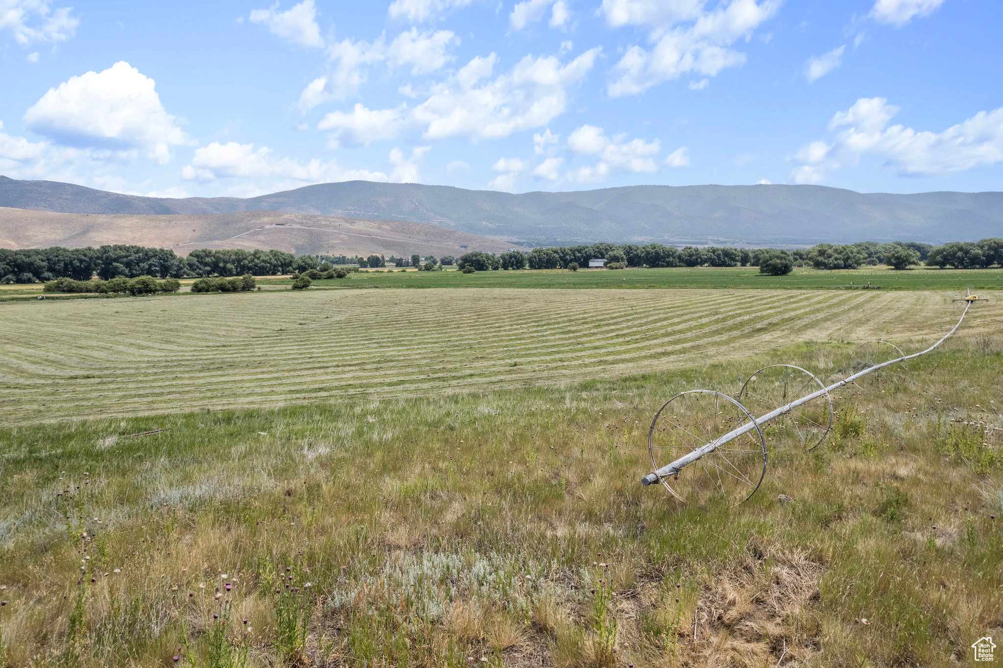 777 W Smooth Hallow Rd, Wallsburg, Utah image 6