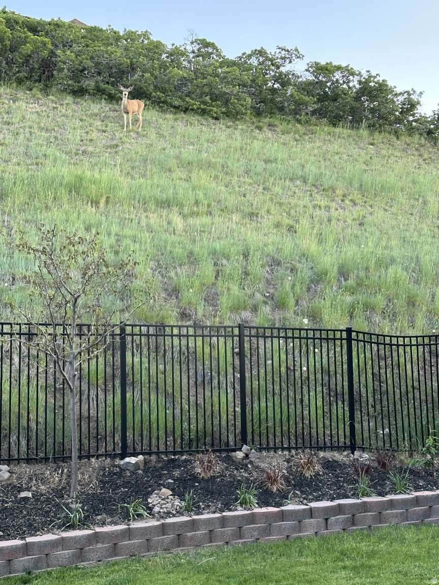 OAK VISTA 4 AT SUNCREST - Residential