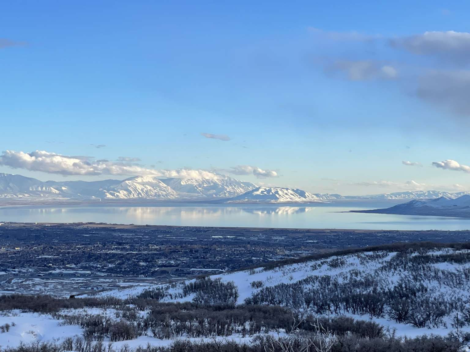 OAK VISTA 4 AT SUNCREST - Residential