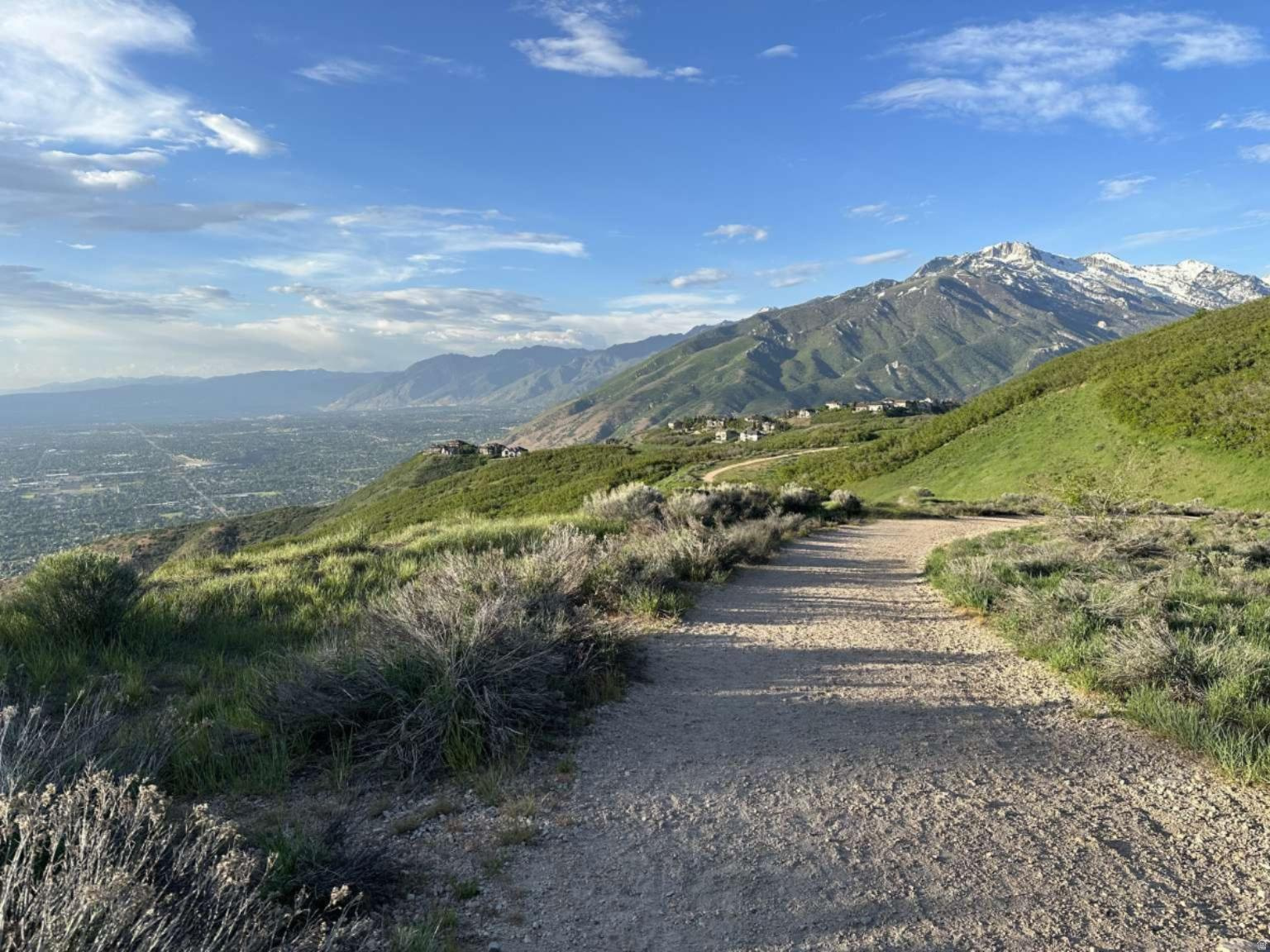 OAK VISTA 4 AT SUNCREST - Residential