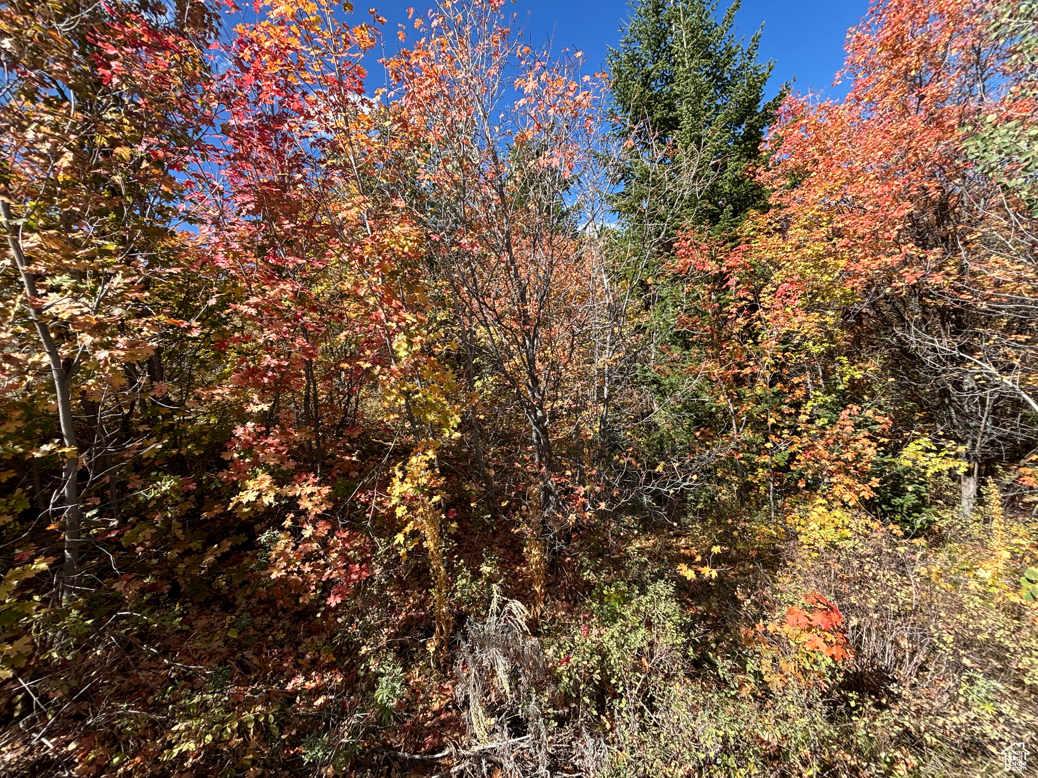 BEAR LAKE WEST SUB 1 PLAT B - Land