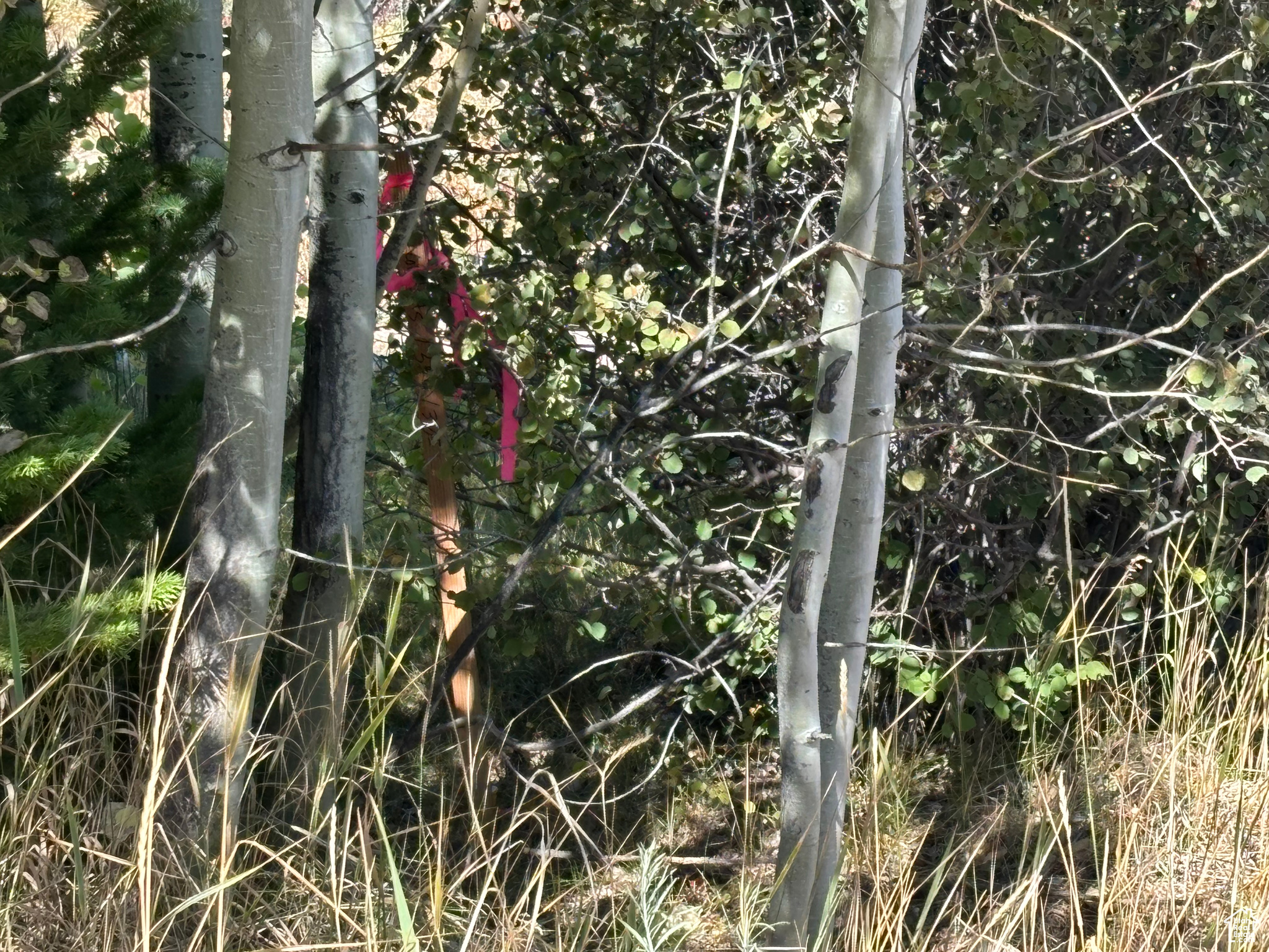 BEAR LAKE WEST SUB 1 PLAT B - Land