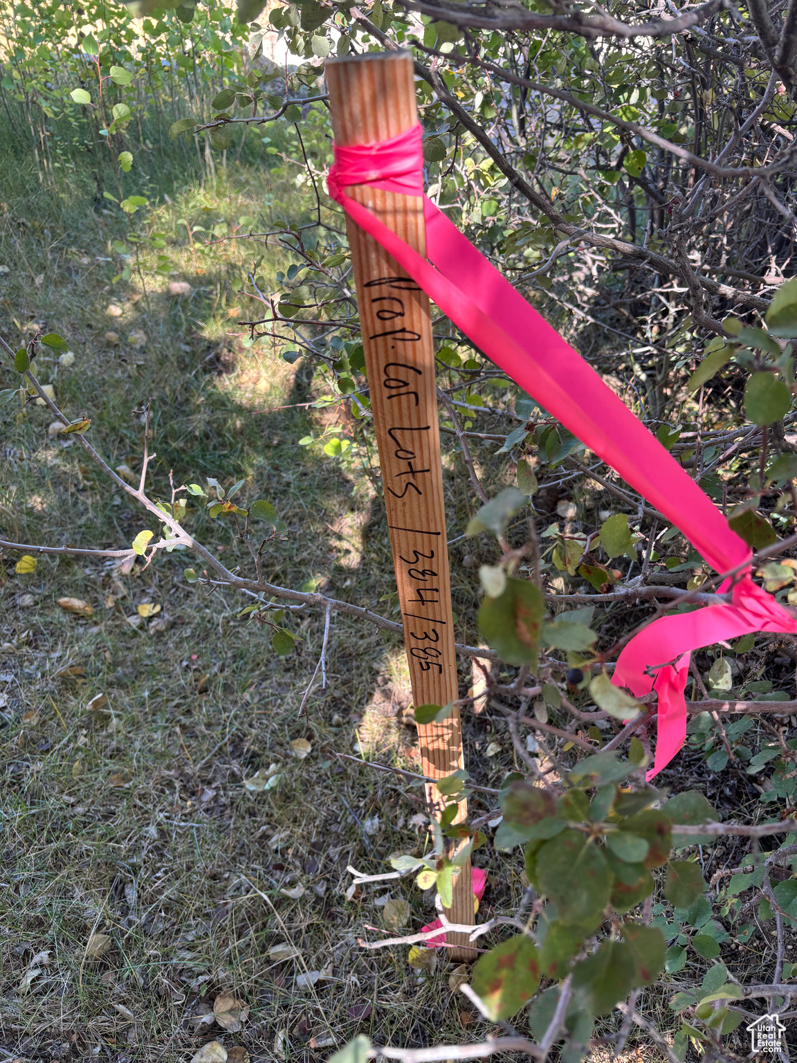 BEAR LAKE WEST SUB 1 PLAT B - Land