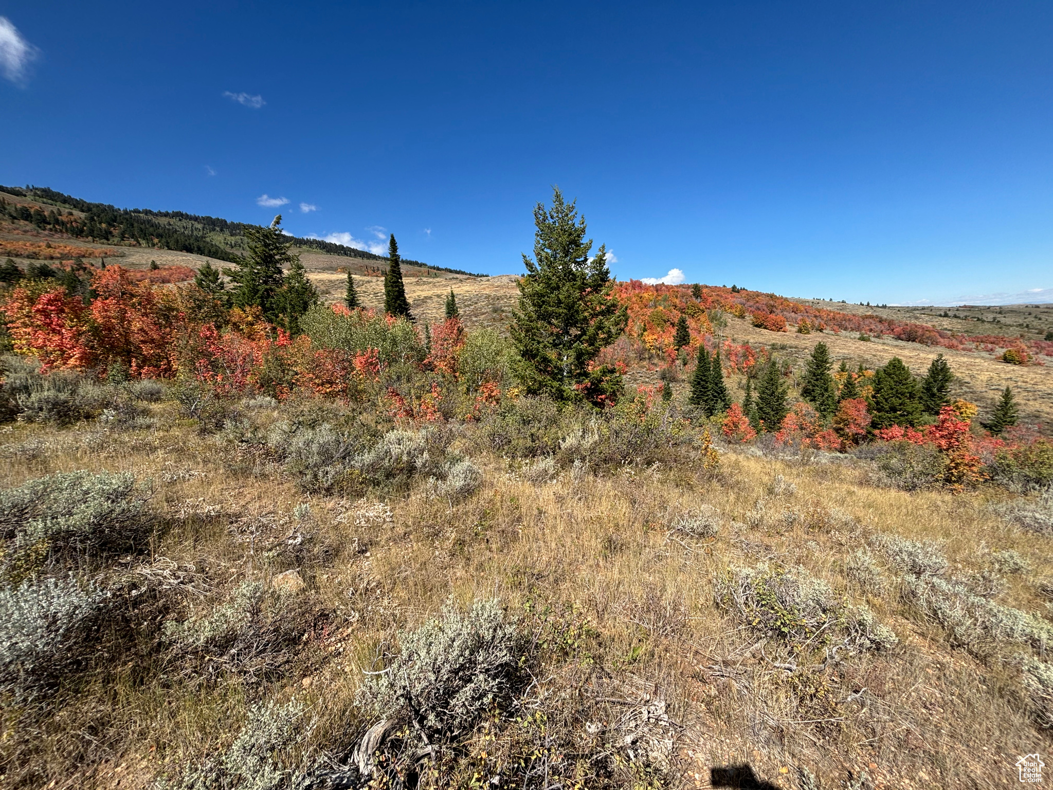 BEAR LAKE WEST SUB 1 PLAT B - Land