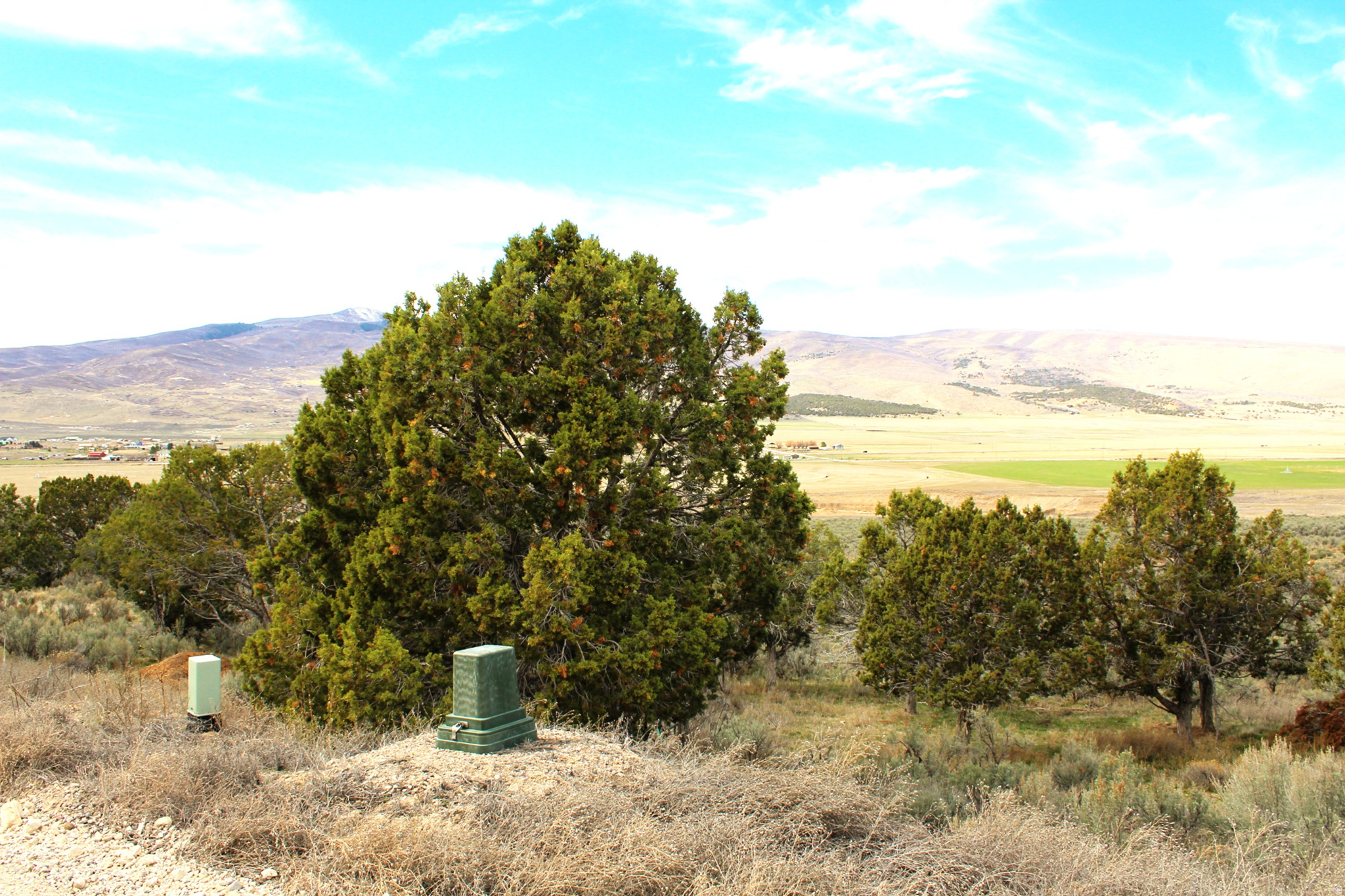 BLACKHAWK MT ESTATE - Land