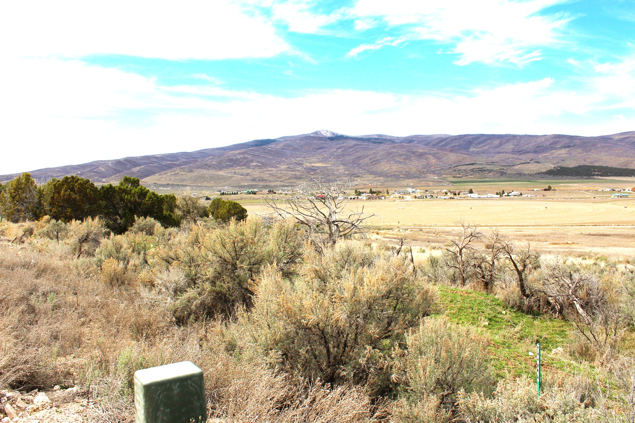 BLACKHAWK MT ESTATE - Land