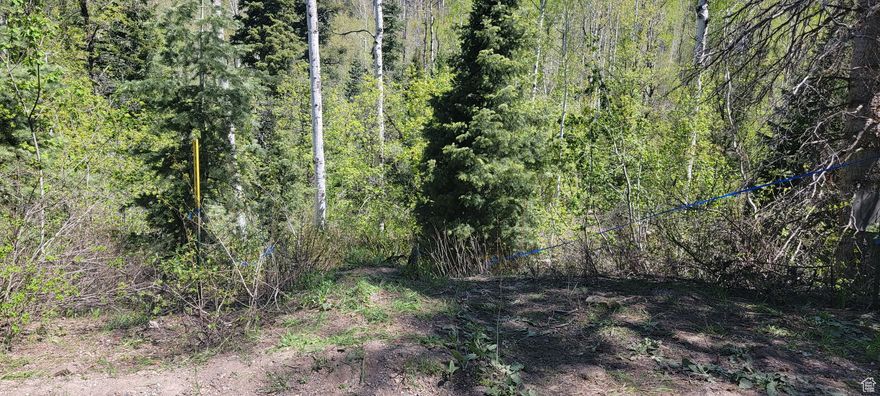 Rare Stream Lot #819 in the Aspen Hills gated community located in the Pines and Aspens. The year round stream goes through the lot's North, bottom then the lot slopes up to the South to the road. The most useable portion is in the middle so a driveway would need to be installed to get down to that point. About 7,850 Elevation