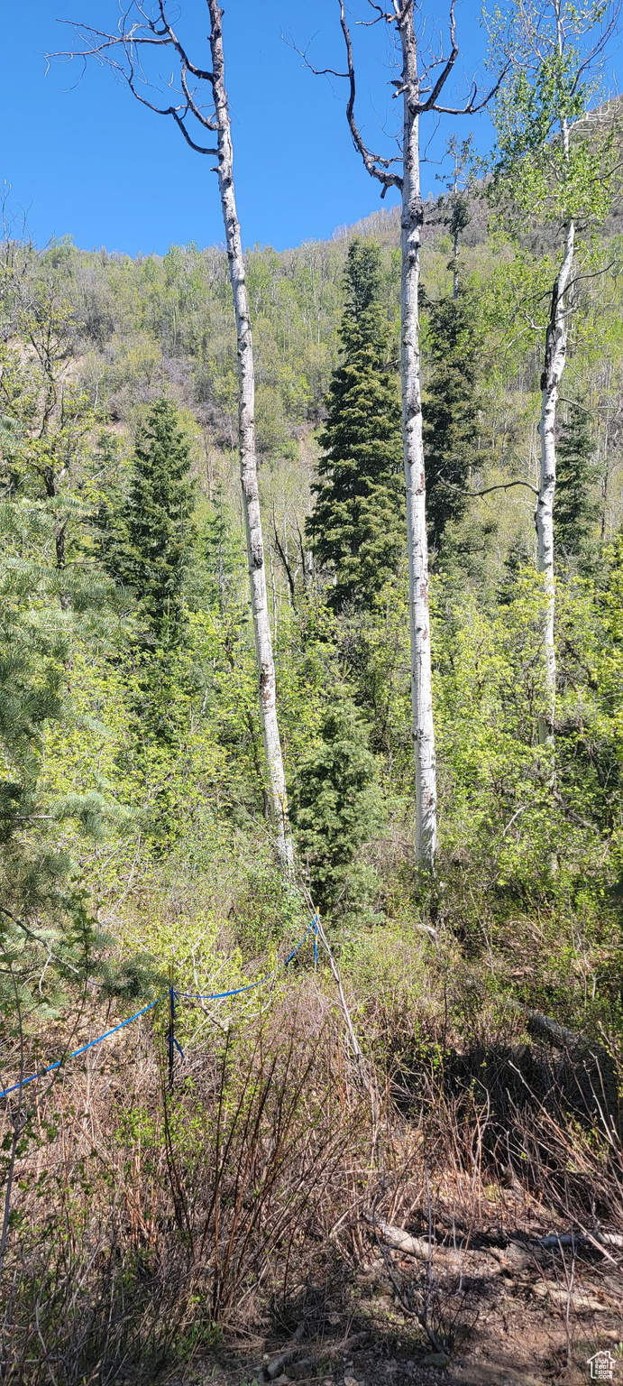ASPEN HILLS - Land