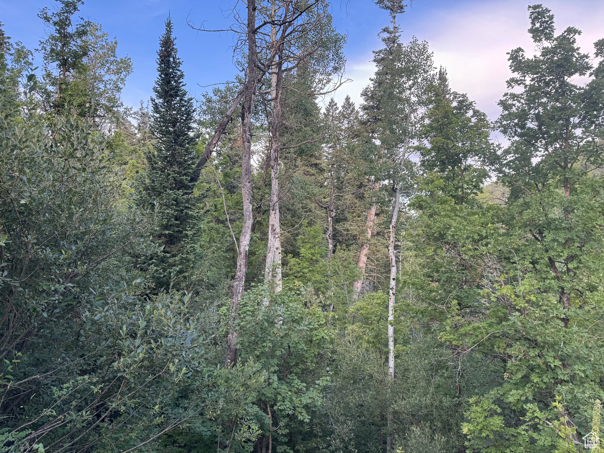 ASPEN HILLS - Land