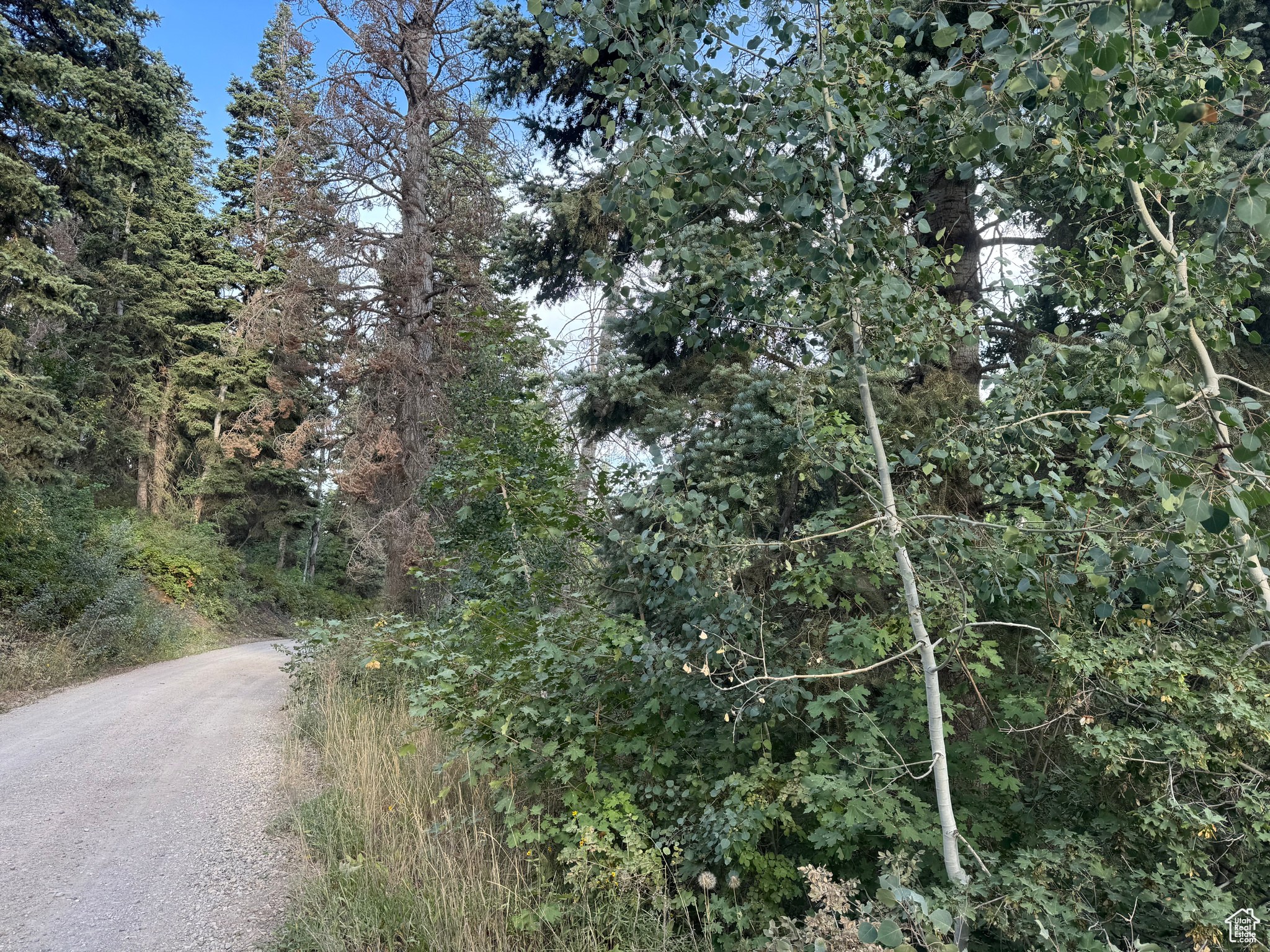 ASPEN HILLS - Land