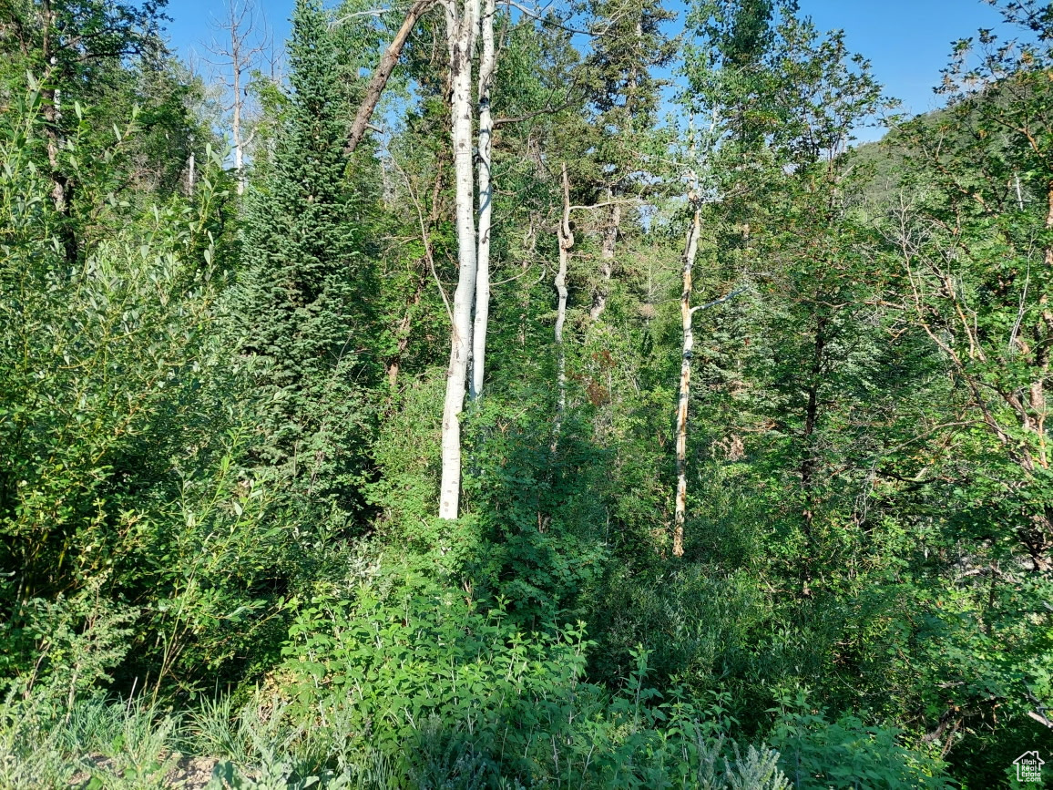 ASPEN HILLS - Land